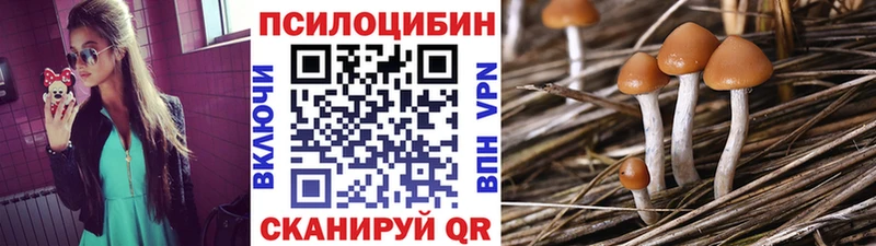 Галлюциногенные грибы прущие грибы  цена   Жигулёвск 