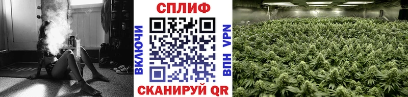 Бошки марихуана гибрид  Жигулёвск 